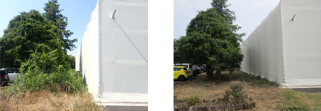 Tochigi Plant: Maintaining the site’s greenery area (Left: Before, Right: After)