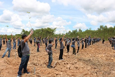 タイ国における植林活動