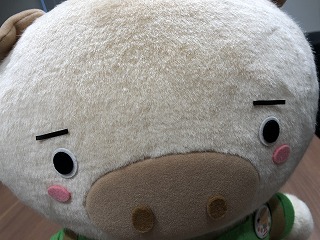 はこぶぅ~